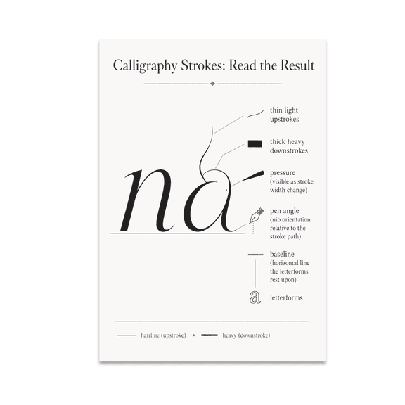 Calligraphy Strokes Educational Reference - Lettering Artist - 13x19 Poster Print