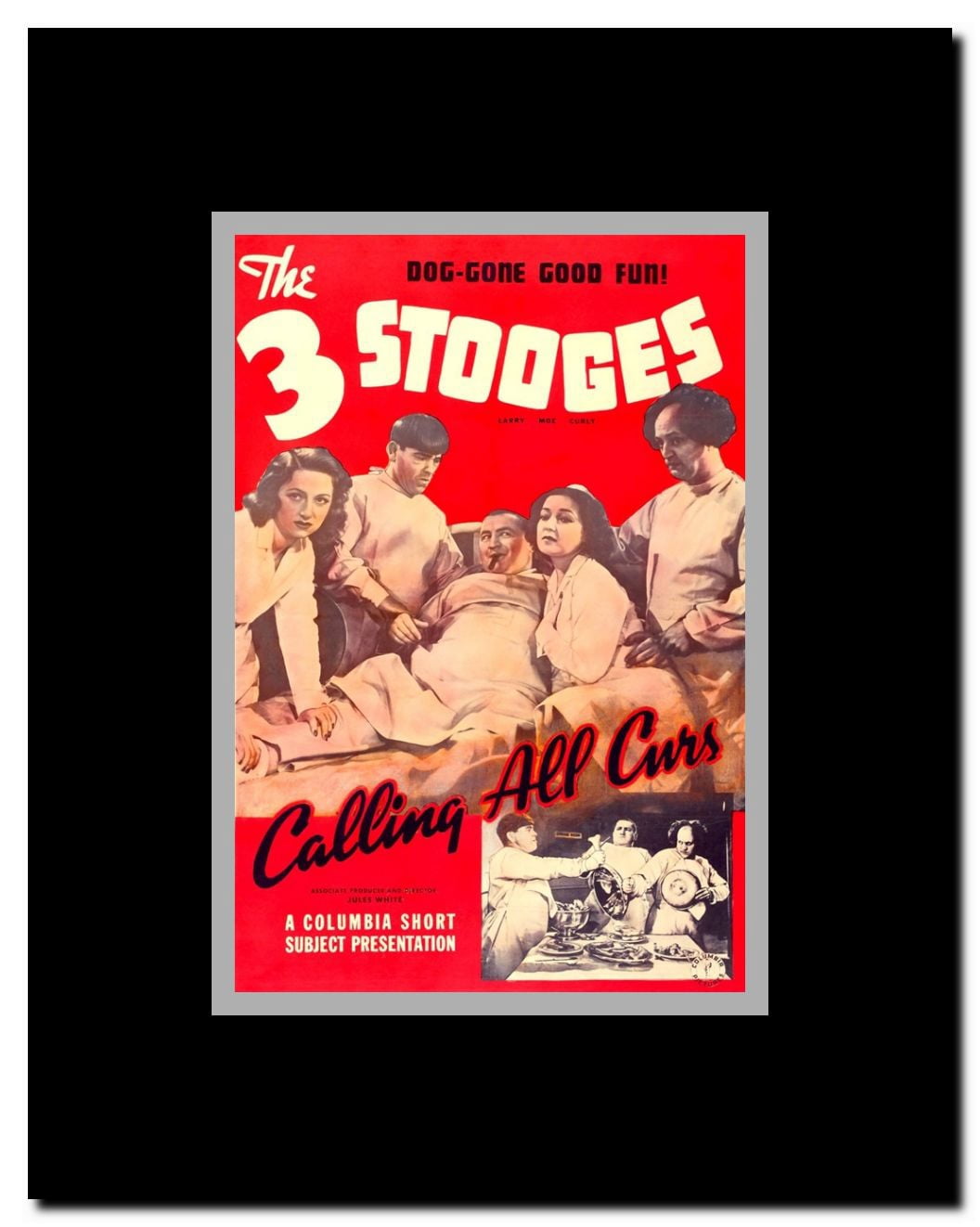 Calling All Curs Framed Movie Poster