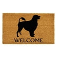 thumbnail image 1 of Calloway Mills 106931729 Portuguese Water Dog Doormat 17" x 29", 1 of 2