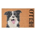 thumbnail image 1 of Calloway Mills 109671729 17 x 29 in. Border Collie Rectangular Doormat, Black & White, 1 of 1
