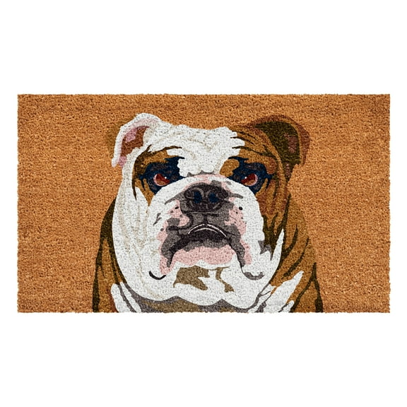 Calloway Mills 109801729 English Bull Dog Doormat 17" x 29"