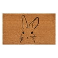 thumbnail image 1 of Calloway Mills 112162436 Bunny Doormat 24" x 36", 1 of 8