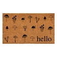 thumbnail image 1 of Calloway Mills 112221729 Mushroom Hello Doormat 17" x 29", 1 of 9