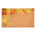 thumbnail image 1 of Calloway Mills 116582436 Fall Foliage Doormat, 24" x 36", 1 of 7