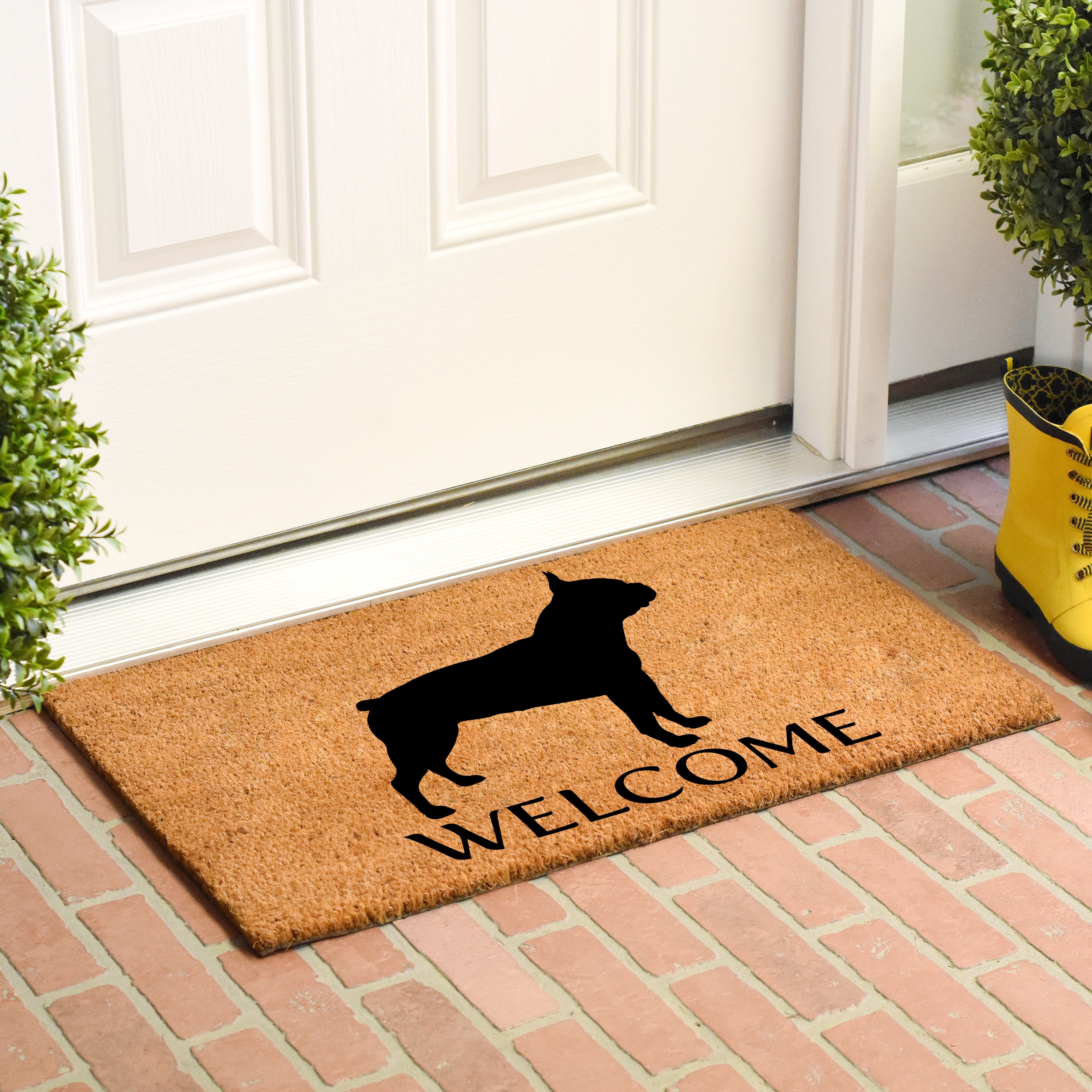 Calloway Mills Boston Terrier Outdoor Doormat 24