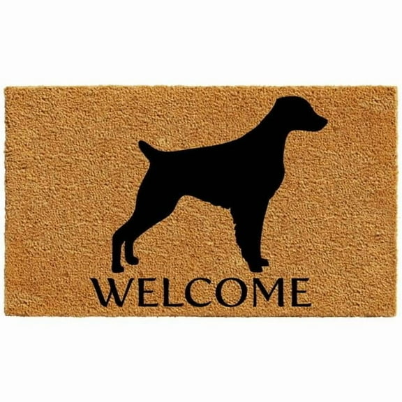Calloway Mills Brittany Outdoor Doormat 17" x 29"