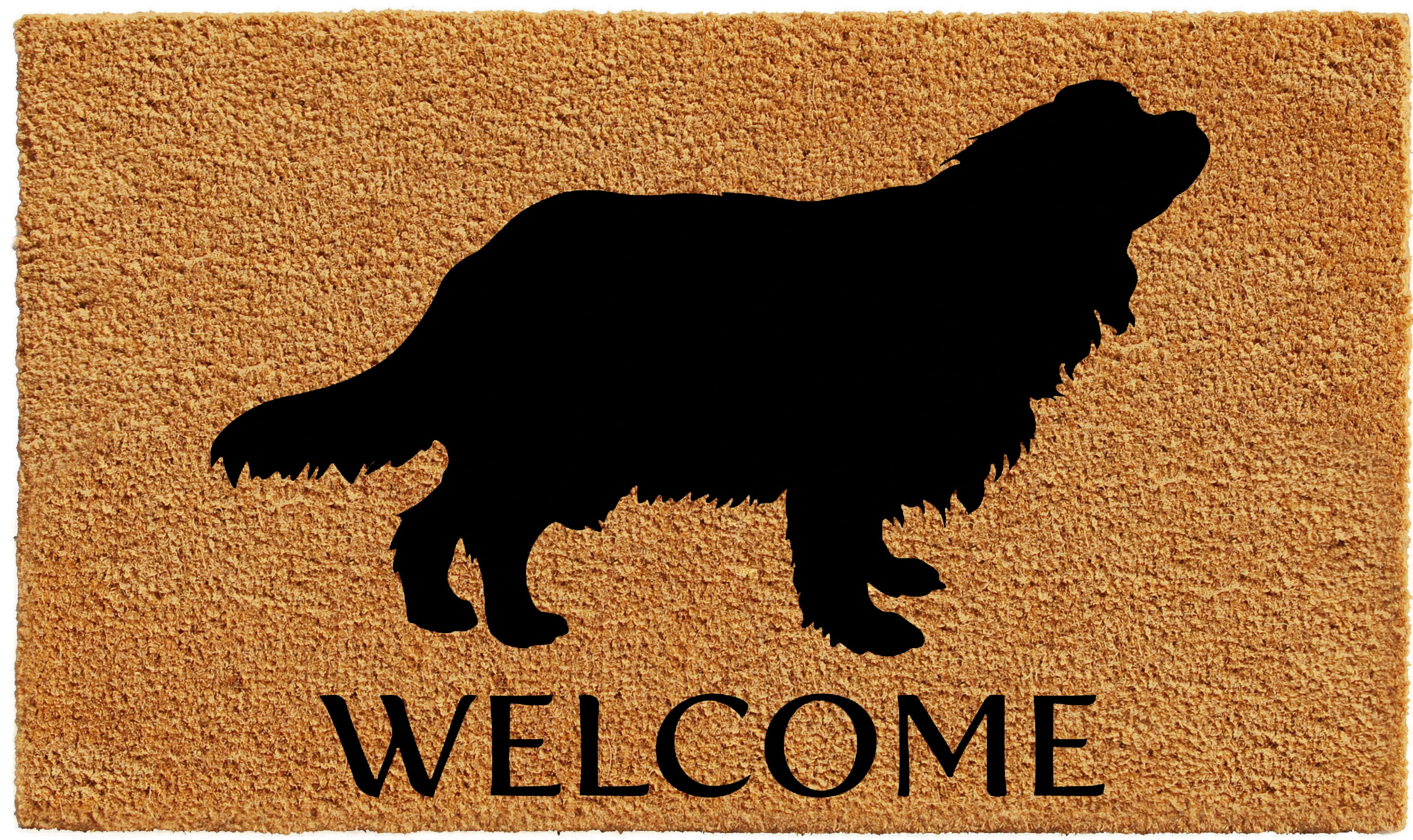 Calloway Mills Cavalier King Charles Spaniel Outdoor Doormat 17" x 29"