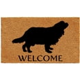 thumbnail image 1 of Calloway Mills Cavalier King Charles Spaniel Outdoor Doormat 24" x 36", 1 of 2