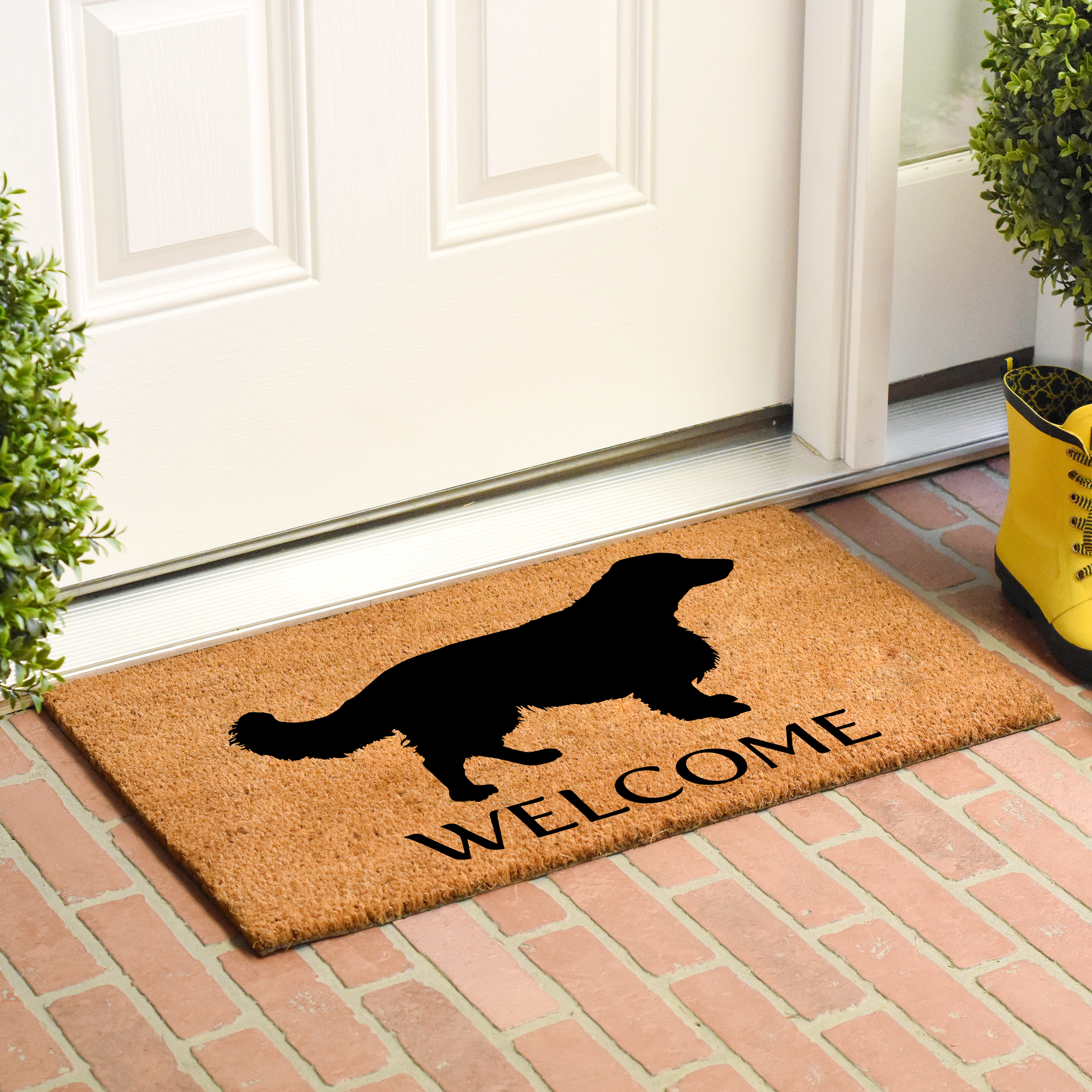 Calloway Mills English Springer Spaniel Outdoor Doormat 17" x 29"