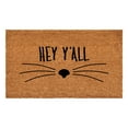 thumbnail image 1 of Calloway Mills Hey Yall Whiskers Doormat, 24" x 36", 1 of 2