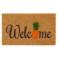 thumbnail image 1 of Calloway Mills Pineapple Fun Outdoor Doormat 24" x 36", 1 of 3