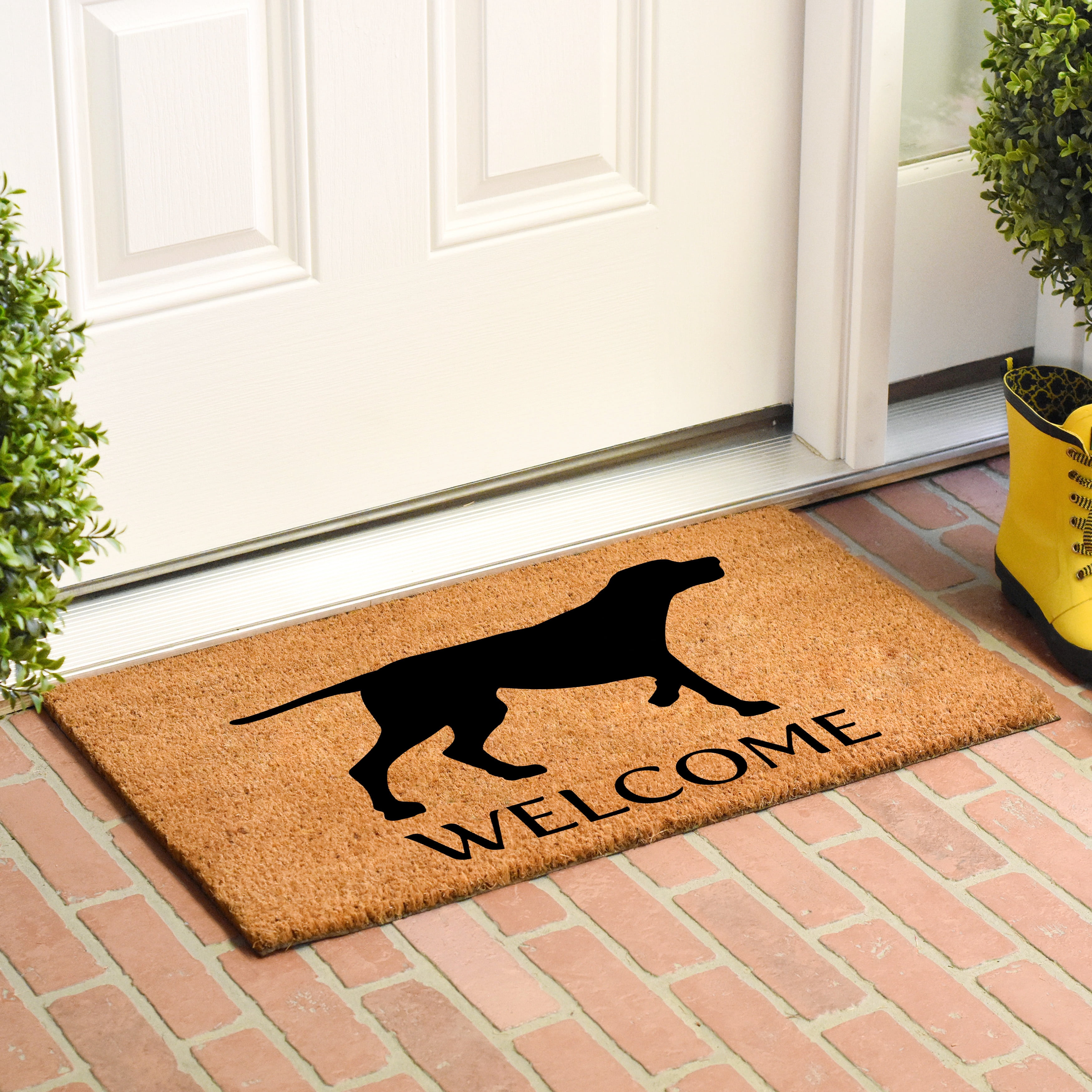 Calloway Mills Pointer German Shorthaired Outdoor Doormat 24" x 36"