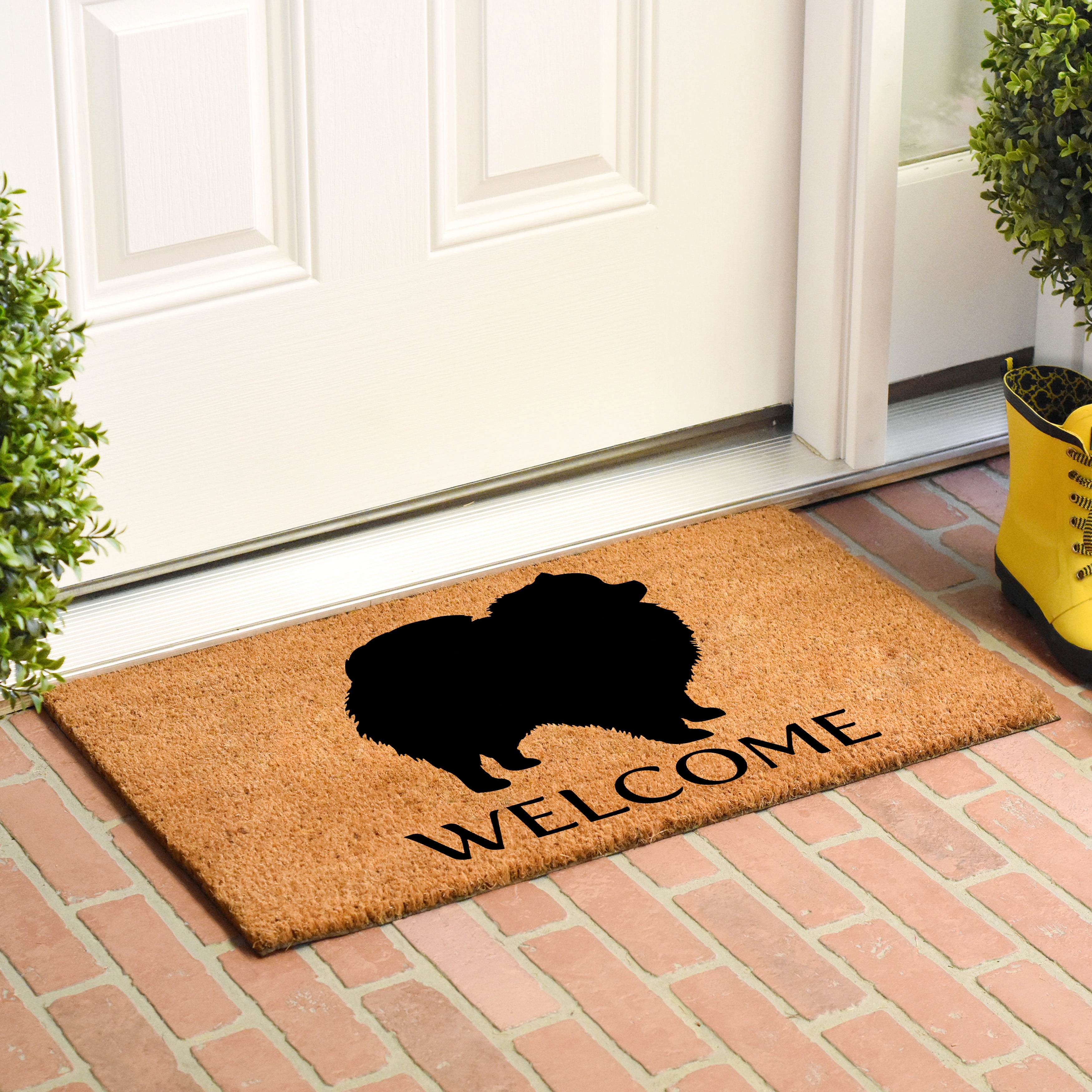 Calloway Mills Pomeranian Outdoor Doormat 24" x 36"