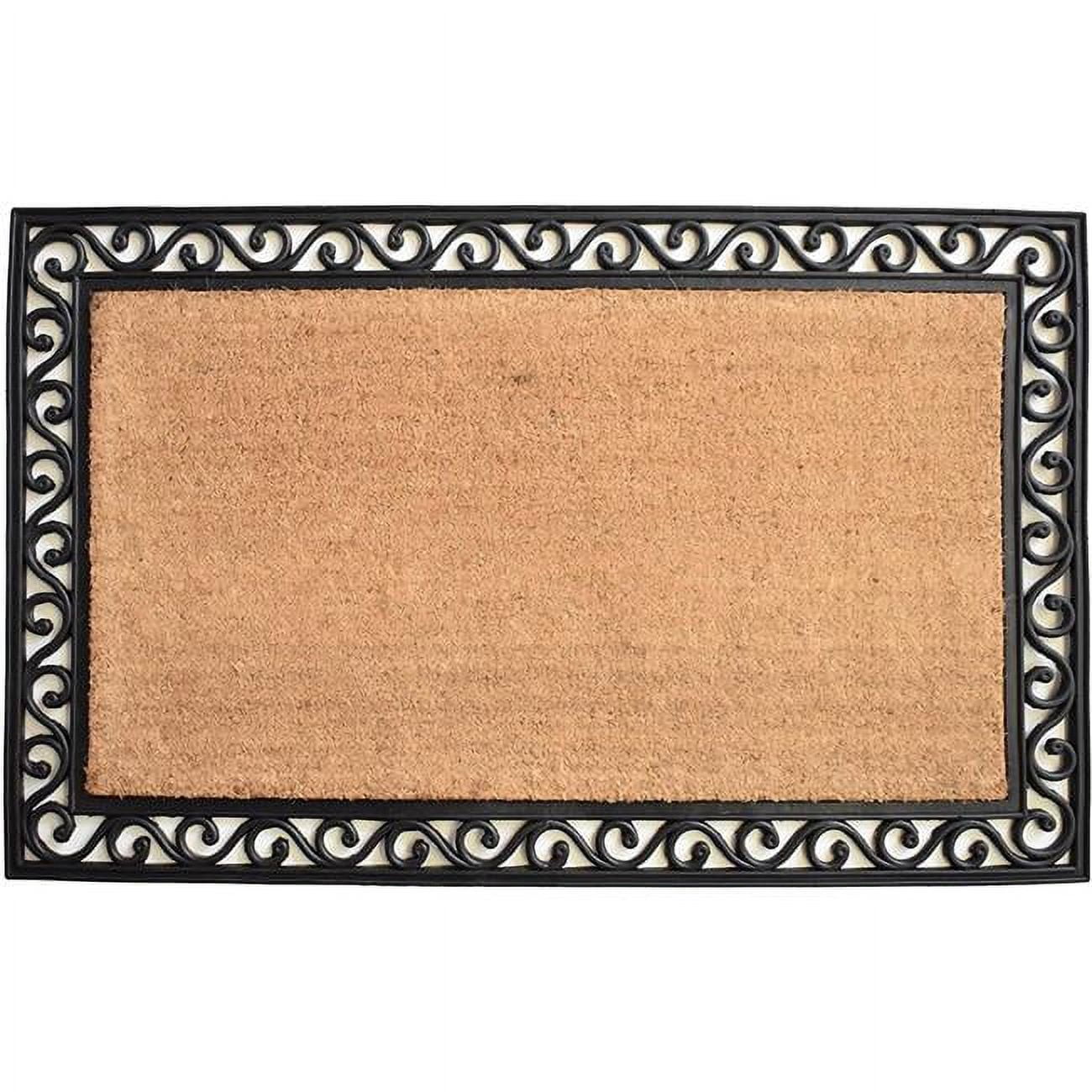 Calloway Mills 100063048NP 30 x 48 in. Rembrandt Rectangular Doormat, Natural & Black