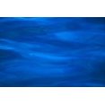 thumbnail image 1 of Calm Blue Ocean Surface, Texture With Different Shades Poster Print (19 x 12), 1 of 4