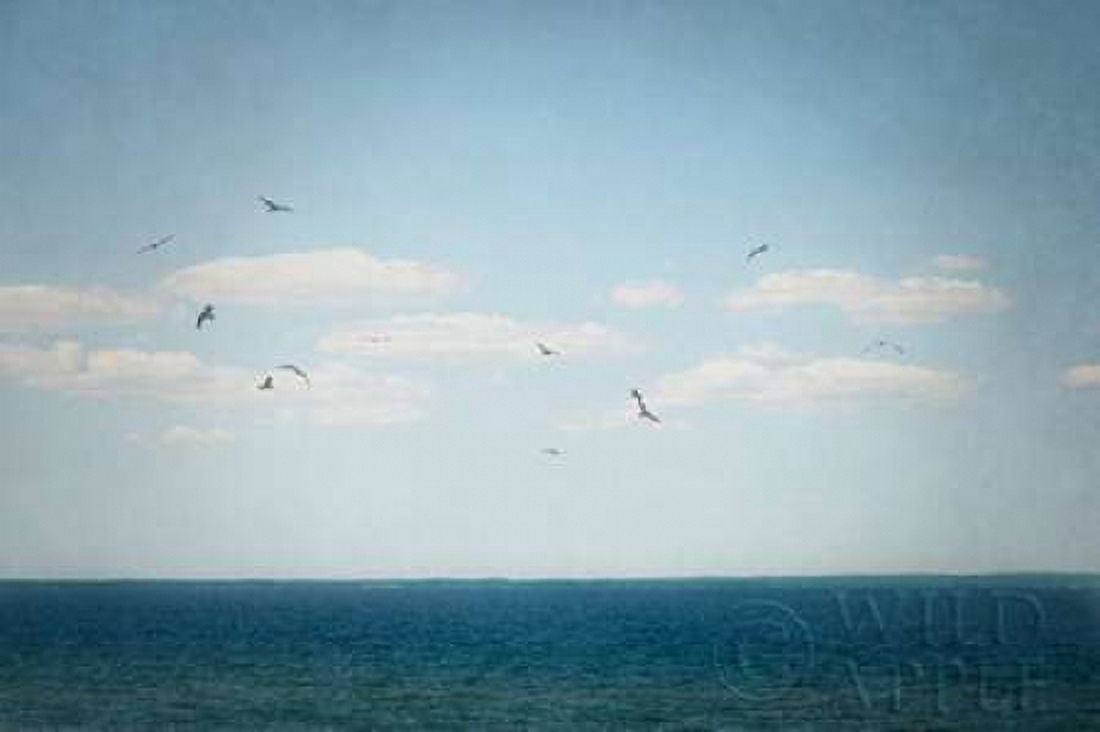 Calm Days IV Canvas Art - Elizabeth Urquhart (12 x 18)