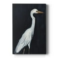 thumbnail image 1 of Calm Great Egret II Premium Gallery Wrapped Canvas - Ready to Hang, 1 of 9