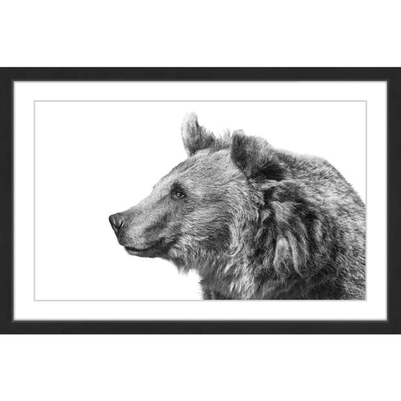 "Calm Observance" Framed Painting Print