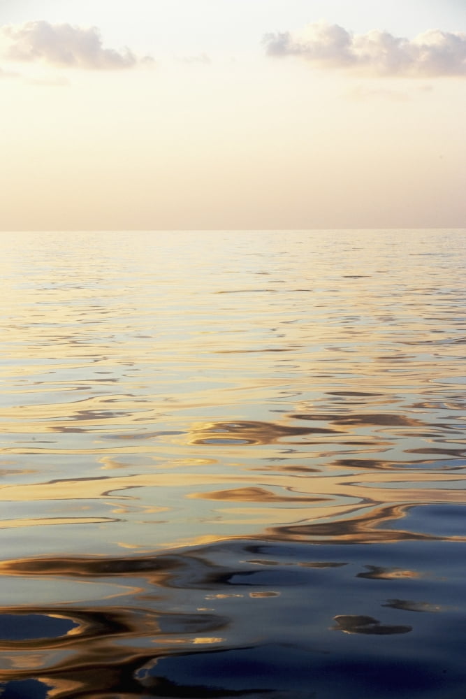 Calm Sea Surface With Sunset Low Angle View Canvas Art - Toby Adamson Design Pics (22 x 34)