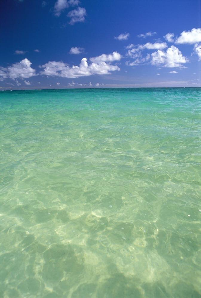 Calm Turquoise Ocean With Sandy Bottom Blue Sky And Clouds Canvas Art - Carl Shaneff Design Pics (24 x 38)