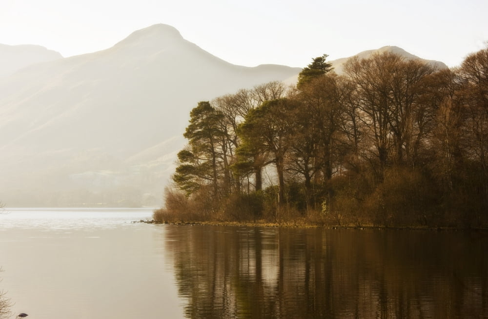 Calm Water With Mountains And Trees Along The Shoreline England Canvas Art - John Short Design Pics (18 x 11)