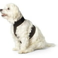 thumbnail image 1 of Calmer Canine Accessory Vest - Extra Small, 1 of 2