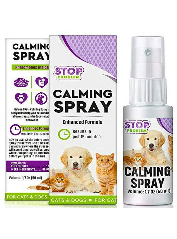 View of Cat Anxiety and Calming in Cat Health and Wellness - Walmart.com