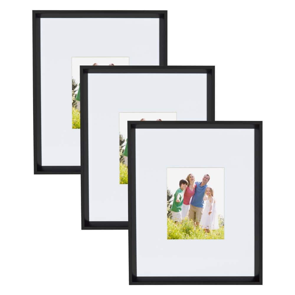 Calter 16 in. x 20 in. Matted to 8 in. x 10 in. Black Picture Frame