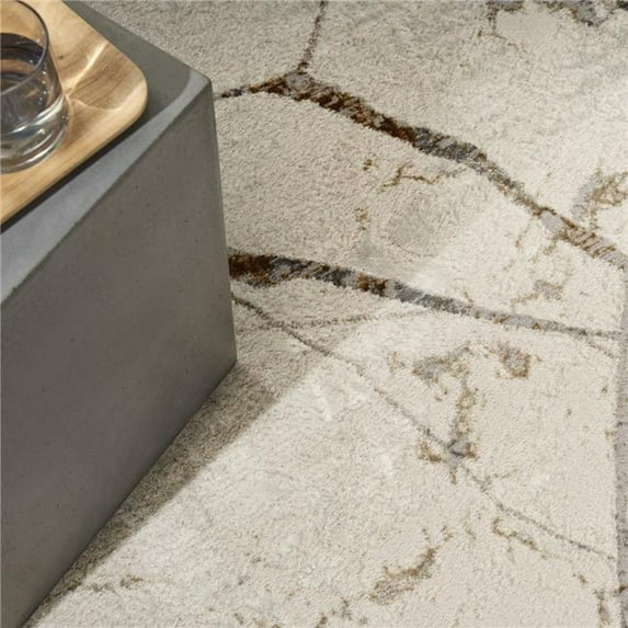Calvin Klein 841491123034 7 ft. 10 in. x 9 ft. 10 in. CK073 Compass Modern Indoor Area Rug, Ivory & Multi Color