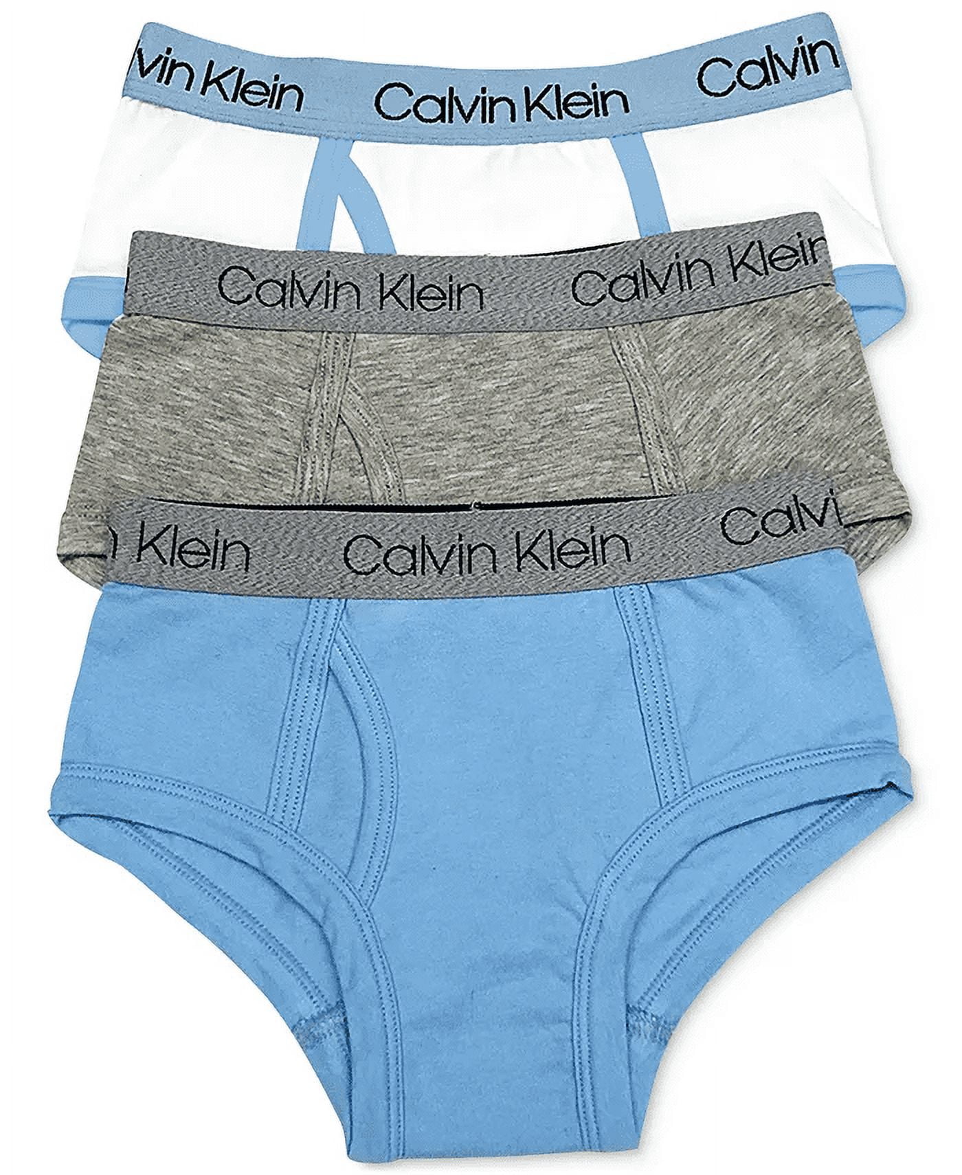 Calvin Klein BLUE BELL HEATHER GREY Little Big Boys 3 Pack Briefs US Large Walmart