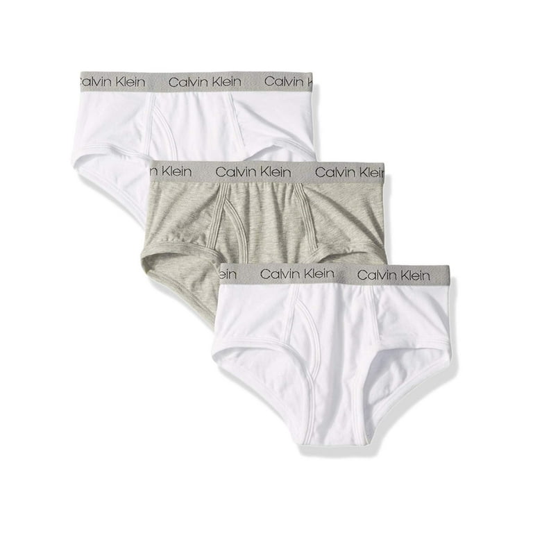 Calvin klein modern cotton briefs store