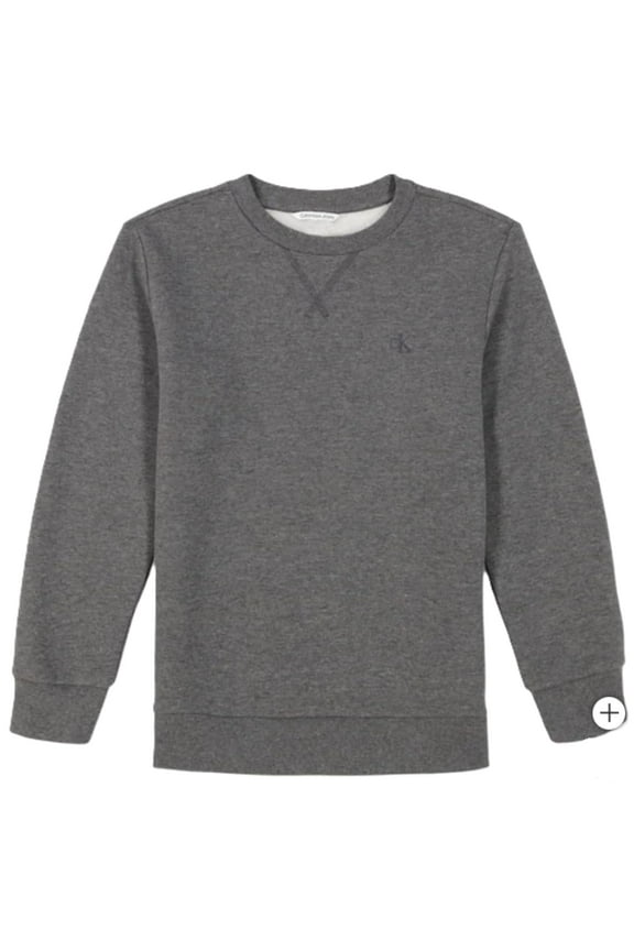 Boys' Long Sleeve Logo Design French Terry Crewneck Tee (US, Alpha, Medium, Regular, Grey)