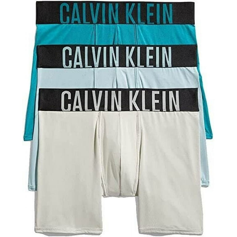 Buy Calvin Klein Intense Power Ultra Cooling Brief - Calvin Klein Underwear  in Blue Shadow 2024 Online