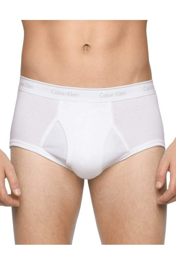 Men's Cotton Classic Brief (4-Pack)