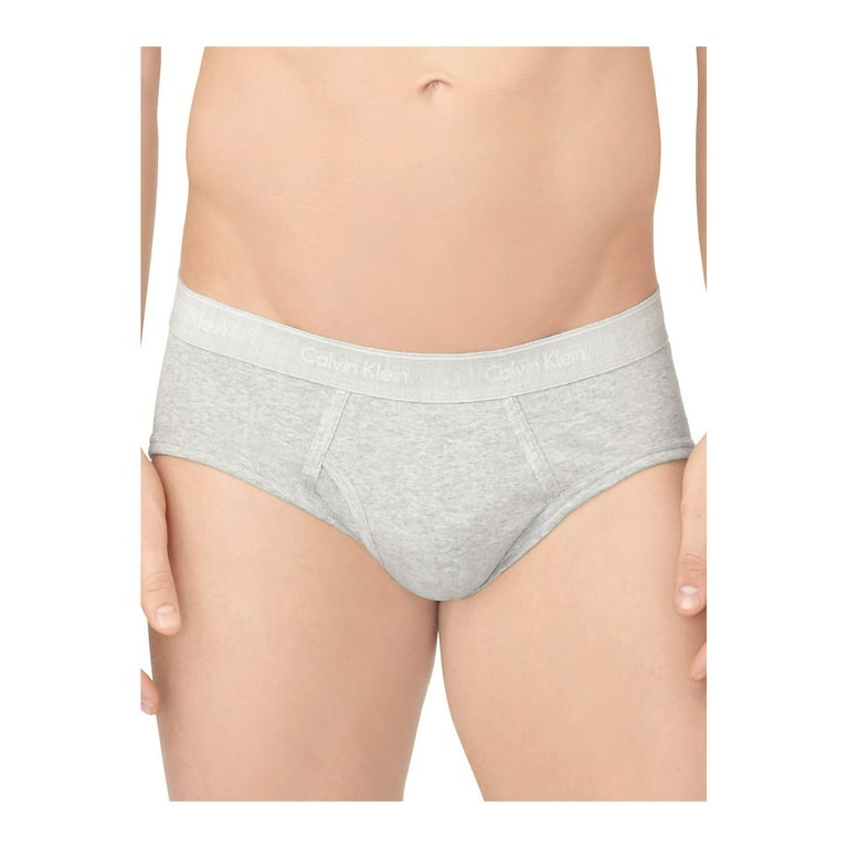 Men's 4-Pack Calvin Klein 100% Cotton Briefs Classic Fit CK Underwear  (G-B-G-R)