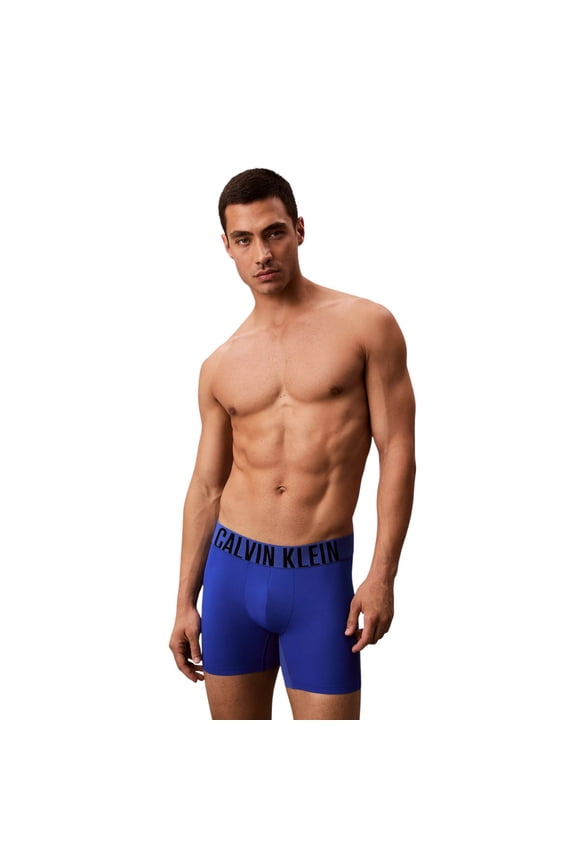 Men's Intense Power Sport Boxer Briefs Royalty/Black Small