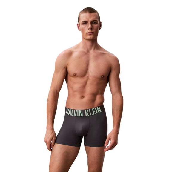 Calvin Klein Men's Intense Power Sport Boxer Briefs Turbulence/Forest Freeze Small