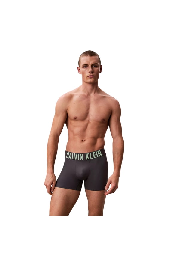 Men's Intense Power Sport Boxer Briefs Turbulence/Forest Freeze Small