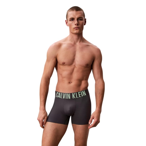 Calvin Klein Men's Intense Power Sport Boxer Briefs Turbulence/Forest Freeze Small
