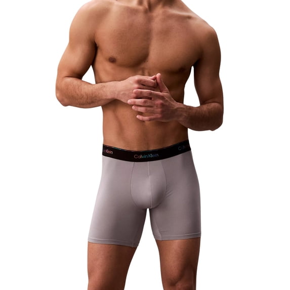 Calvin Klein Men's Microfiber Stretch Boxer Briefs, Sleet, Medium