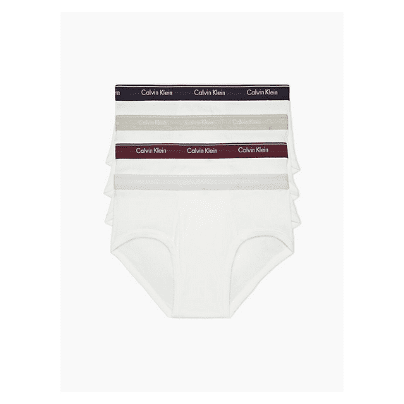 Calvin Klein Men's NB4000-124 Cotton Classic Fit 4-Pack Brief White X-Large