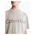 thumbnail image 1 of Calvin Klein Men's Naturals Relaxed Fit Tea Dye Logo T-Shirt London Fog, Large, 1 of 2
