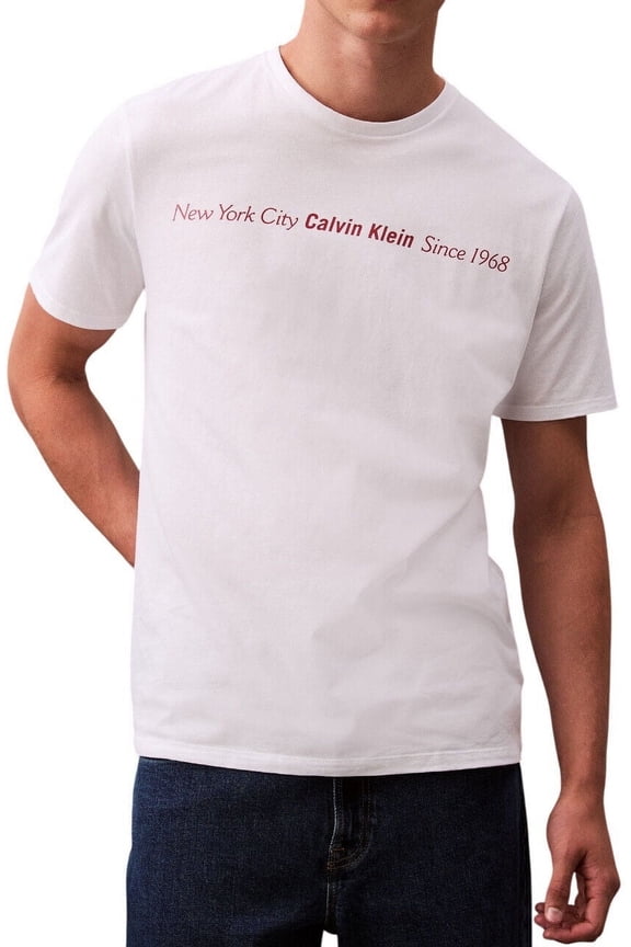 Men's New York City Since 1968 T-Shirt - 40EM860 (Brilliant White 110, L)