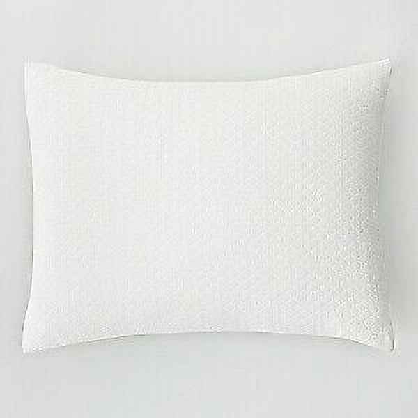 Calvin Klein Oval Bands 100% Combed Cotton Made in Portugal Pillow Sham  STANDARD