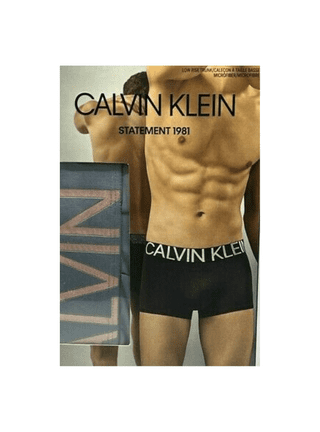 Calvin Klein Men's Statement 1981 Hip Brief, Light Grey, Large