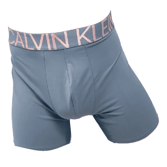Calvin Klein Statement 1981 Microfiber Boxer Briefs Grey Size X-Large