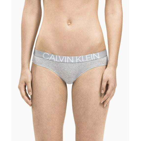Calvin Klein Women's Plus Size Statement 1981 Bikini Panty, Grey Heather, 3X