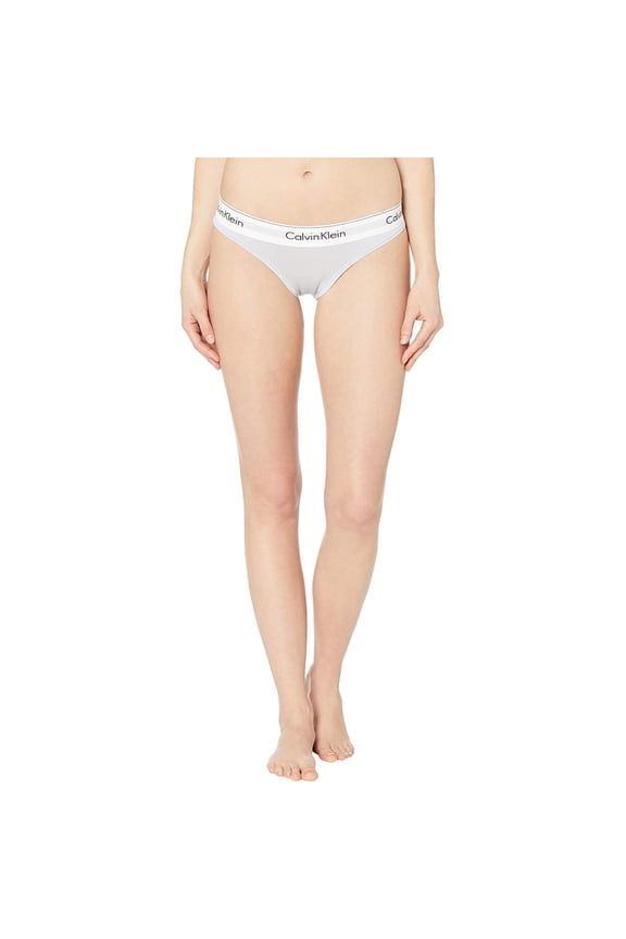 Women's Standard Modern Cotton Bikini Panty, Ice Pulp, S
