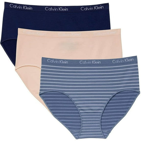 Calvin Klein Women's Stretch Seamless Modern Brief 3-Pack Panties  (Blue/Navy/Pink, XL)