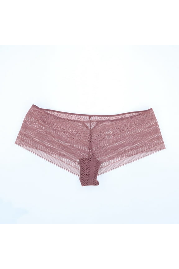 Womens Sculpt Lace Hipster Underwear Rose L New
